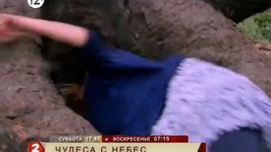 Чудеса с небес