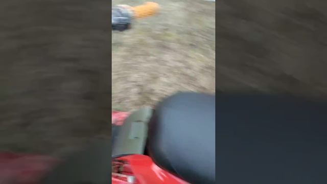 Муравей самосвал смотреть онлайн