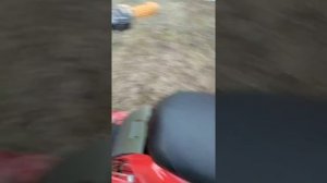 Муравей самосвал