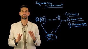 В ЧЕМ ОТЛИЧИЕ СТРАТЕГИИ И ТАКТИКИ?