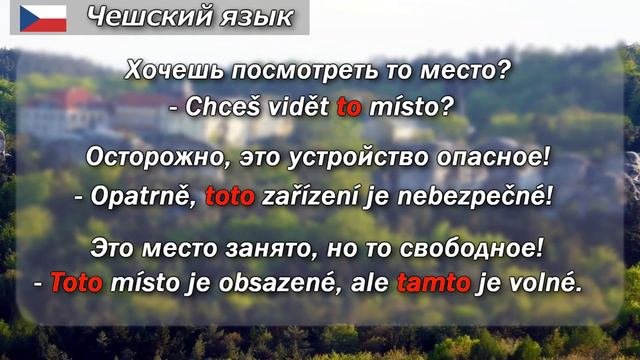 Чешские указательные местоимения. Грамматика чешского языка. Елена Шипилова