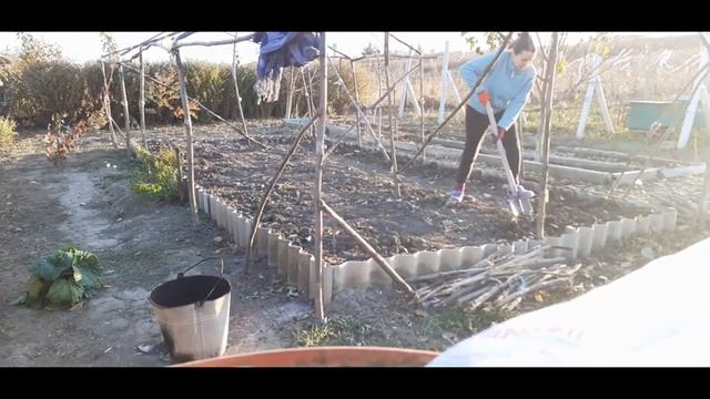 Уборка огородных грядок.Осенняя перекопка и внесение удобрения.Каркас для хоз помещения готов.