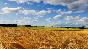 Екатерина Бужинская Моя Україна