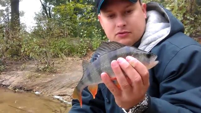 Выпускаем окуня. смотреть онлайн