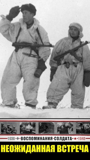 Что делать если советские и немецкие разведчики случайно встретились? #shorts