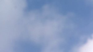 Поющий жаворонок высоко в небе над Кожуховским полем