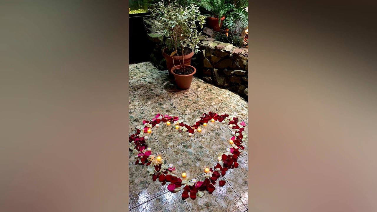 Куда сходить в Уфе. Вечер в тропическом саду. Романтический вечер.