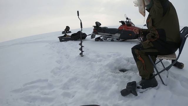 Тест блесен! Судачья, SPY, Killer. Ловля судака. Рыбалка на снегоходе. смотреть онлайн