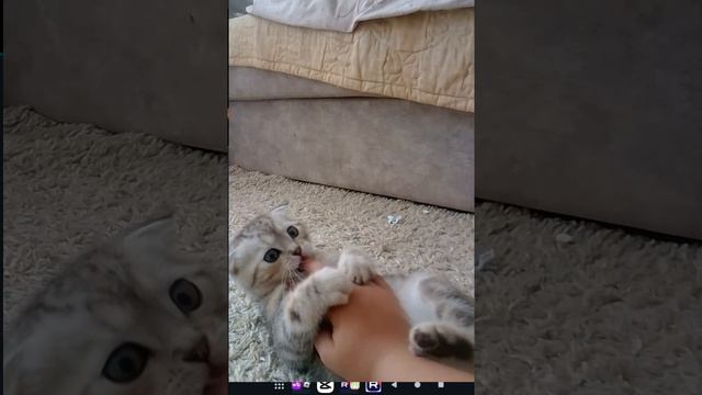 2 часть мой котик :]