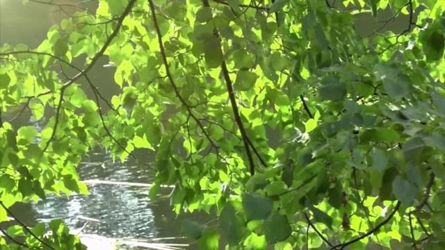 Ролик ТМ "Золотые Луга" смотреть онлайн