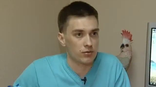 "Хочу в отпуск": Шри-Ланка 12+ смотреть онлайн