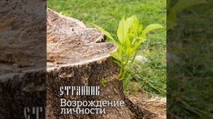 Странник "Возрождение личности" - "Почему люди слабые?"
