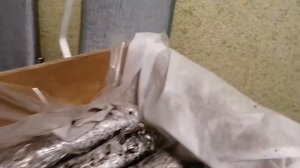 Посылка из питомника ФОКИНО. Распаковка посылки с розами, апрель 2021