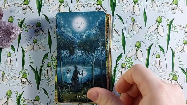 Таро Зелёной Ведьмы (русскоязычное издание Весь). Обзор колоды.