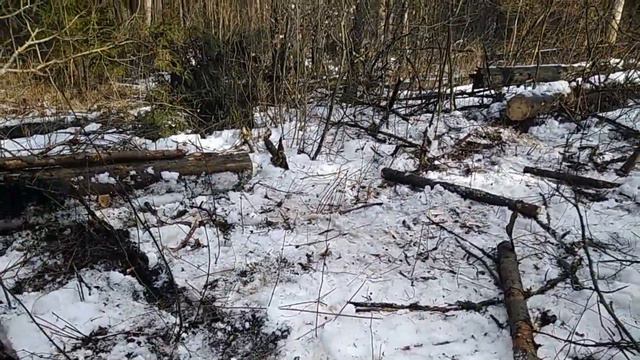 hard work. bushcraft solo. without talking. смотреть онлайн