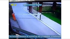 Опасные Медведи