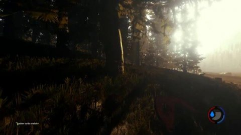 TheForest on Nvidia Geforce 840M 2GB