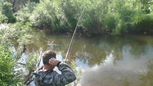 129 Серия Поймал Рыбу Хариус и Наблюдаем за рыбой Хариус в реке Удочка Поплавок Тайга, река Даугли