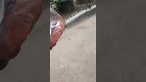 Гудит гур газель камминз 2часть