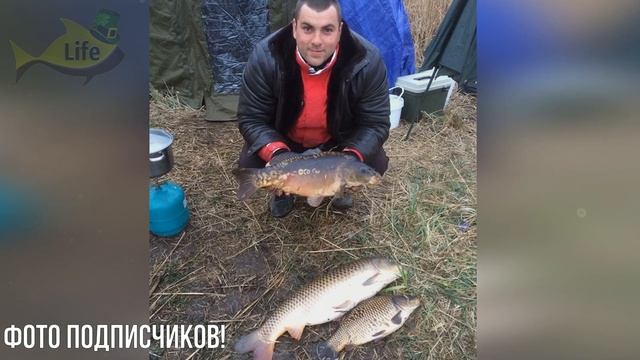 Новые секреты ловли карпа в июне! Поймает много даже новичок! Как на что и где ловить карпа в июне? смотреть онлайн