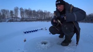 Первый лед, щучка ловится на ура!