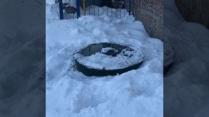 Евролос Био через 3 года