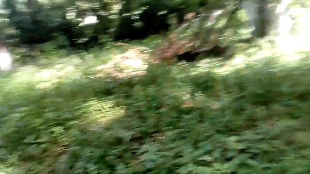 Снова на родник набрать воды смотреть онлайн