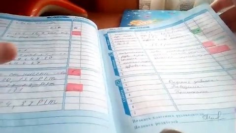 Мои школьные дневники за 1,2,3класс .