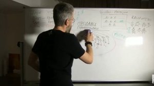 Слава Шарк. Для новичков.