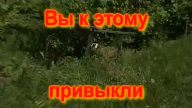 Дача смотреть онлайн