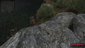 Сталкер. Путь Человека: "Возвращение" Букет цветов Лисе