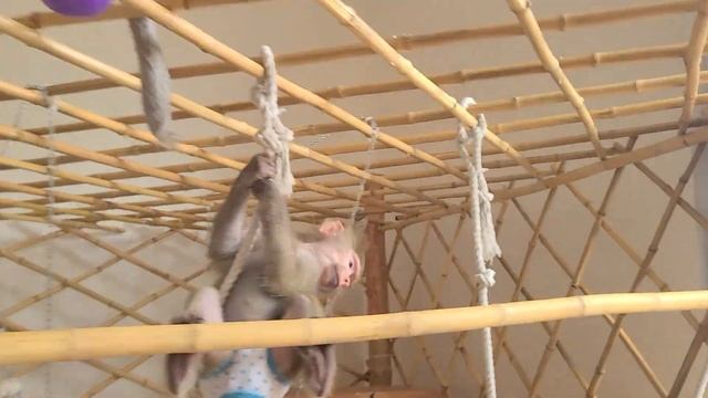 Про настоящих Мужчин!!! Всем хорошего настроения!!! 19.11.23 смотреть онлайн