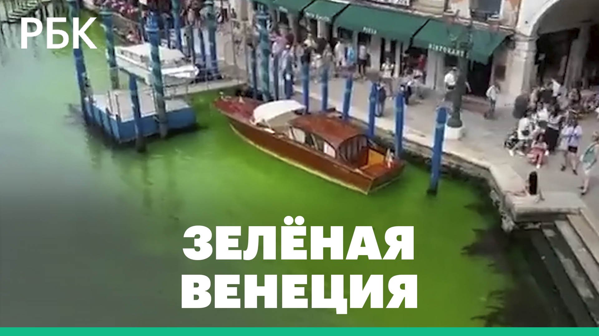 Вода в Гранд-канале в Венеции окрасилась в зеленый цвет