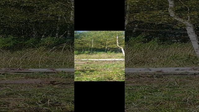 1000047269.mp4 смотреть онлайн