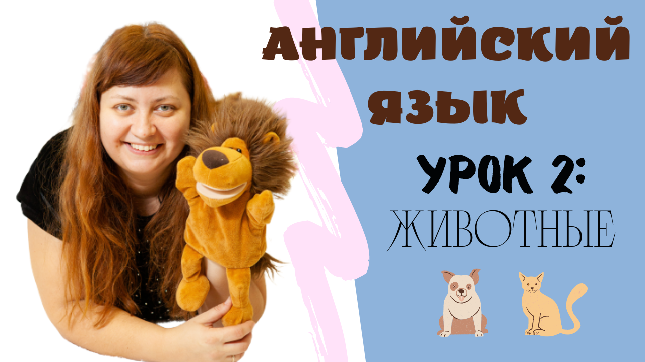 Урок 2: Домашние животные (?, ?)/ Lesson 2: Pets (a dog, a cat)  #английскийсТошей