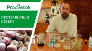 Подготовка семян к посадке. Хороши ли водка и перекись? 14 способов протравливания семян ч.1.