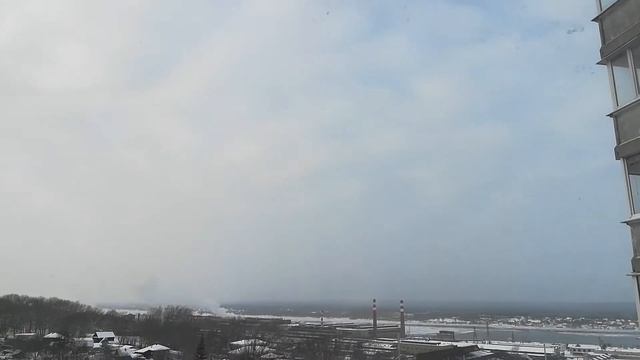 Ампельная клубника на подоконнике