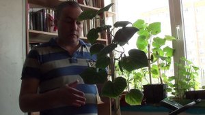 Огурец компакт дома.mp4