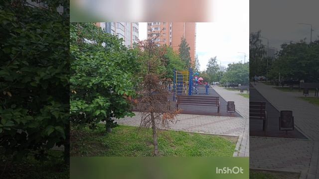Ответ от администрации города Красногорска по опасному сухому дереву ( очередной)