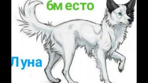 Топ 10моих любимых персонажий из ХРОНИКИ СТАИ