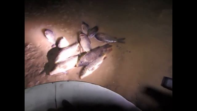 ЗАПУСТИЛ НОЧЬЮ ТАЙНО СОСЕДЯМ В ПРУД РЫБУ И СЕБЕ!!! смотреть онлайн