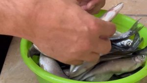 КАК СОЛИТЬ И СУШИТЬ РЫБУ ВЯЛЕНАЯ РЫБА ШАМАЙКУ ВОБЛУ ЛЕШЬ ОЧЕНЬ ПРОСТОЙ СПОСОБ