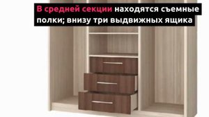 Шкаф купе "Фортуна" ("Маэстро")