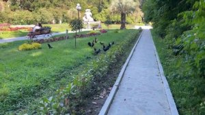 СОЧИ🌈Дендрарий / грузинский ресторан/ Окарина и браслет / Хаги Ваги😅