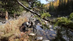 Алтайский заповедник. Село Язула (Телецкое озеро) Сибирь Заповедная. Первозданная Россия. АЛТАЙ.