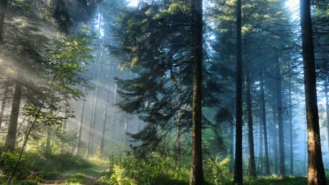 1. АВТОБИОГРАФИЯ. Деревня Чернятино смотреть онлайн