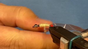 Мушка Личинка Короеда