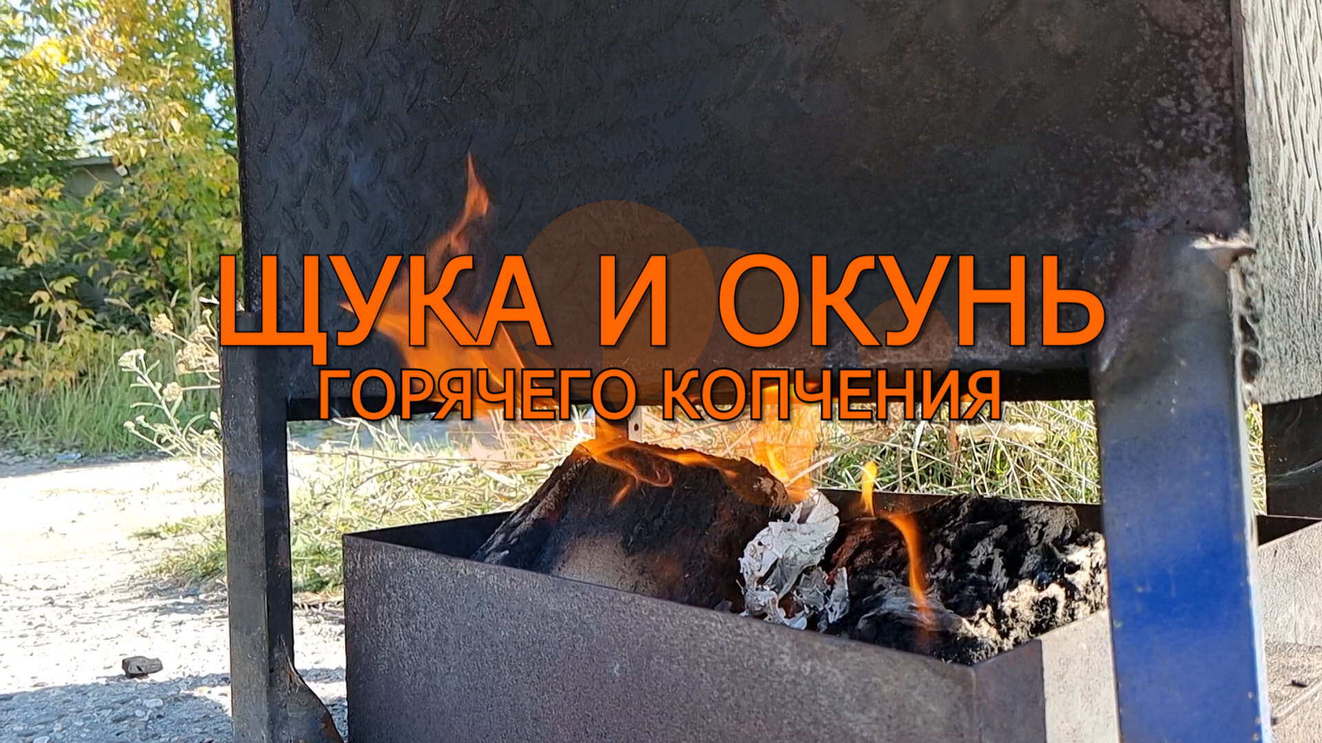 Щука и окунь горячего копчения