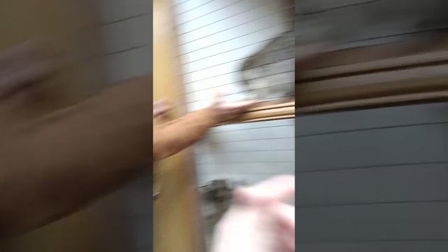 еноты едят блины смотреть онлайн