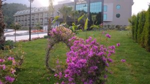 Eldar Resort Hotel 4* Турция